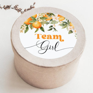 Little cutie Team meisje geslacht onthullen Ronde Sticker
