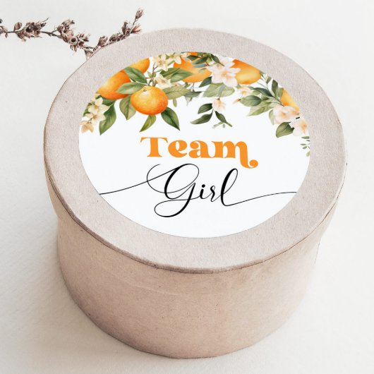 Little cutie Team meisje geslacht onthullen Ronde Sticker