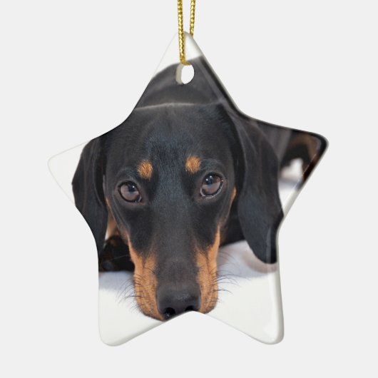 Little Dachshund Keramisch Ornament (Links)