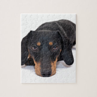 Little Dachshund Legpuzzel