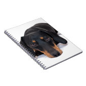 Little Dachshund Notitieboek (Rechterzijde)