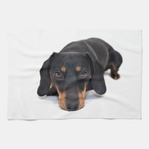 Little Dachshund Theedoek