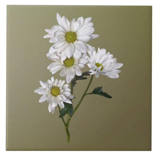 Little Daisy die naar boven kijkt Tegeltje (Voorkant)