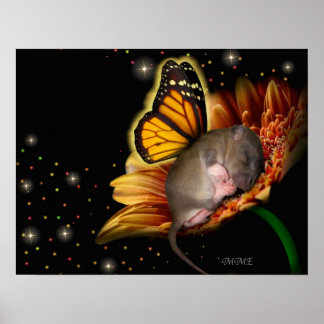 Little Daisy Dreamweaver Poster