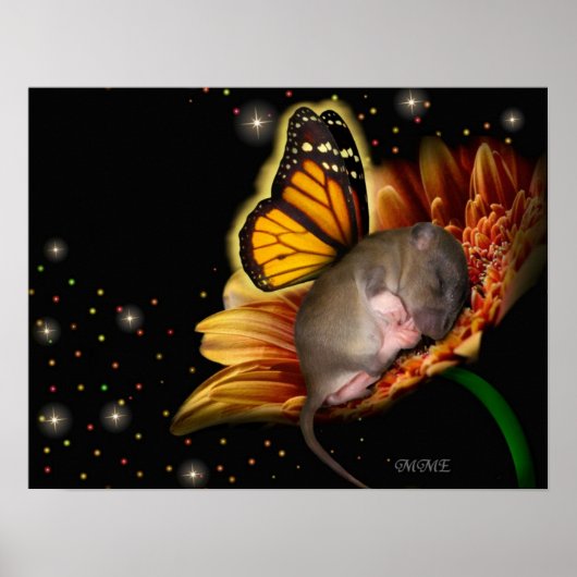 Little Daisy Dreamweaver Poster (Voorkant)