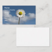 Little Daisy Visitekaartje (Voorkant / Achterkant)