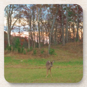 Little Deer &a Pink Sunset Drankjes Onderzetter