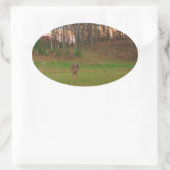 Little Deer &a Pink Sunset Ovale Sticker (Tas)