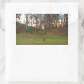 Little Deer &a Pink Sunset Rechthoekige Sticker (Tas)