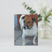 Little Dog Big Heart Briefkaart (Staand voorkant)