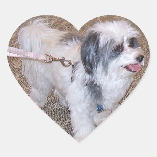 Little Dog Sticker (Voorkant)