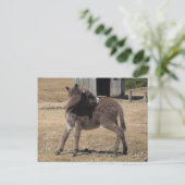 Little Donkey Briefkaart (Staand voorkant)