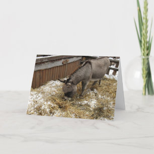 Little Donkey Christmas Feestdagen Kaart