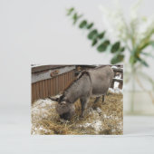 Little Donkey Christmas Feestdagenkaart (Staand voorkant)