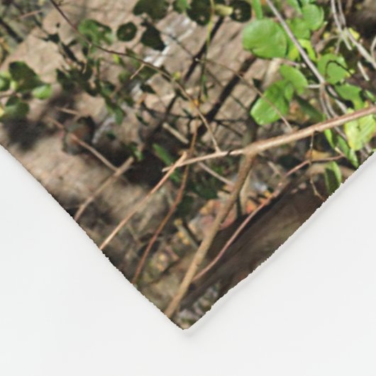 Little Donkey Fleece Deken (Hoek)