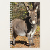 Little Donkey Planner (Voorkant)