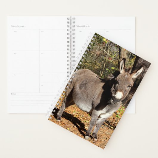 Little Donkey Planner (Display)