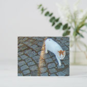 Little Dot Ephesus Cat Briefkaart (Staand voorkant)