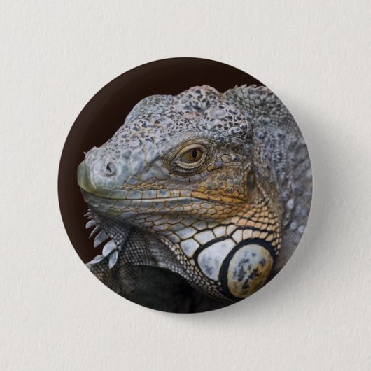 Little Dragon Zak Ronde Button 5,7 Cm (Voorkant)