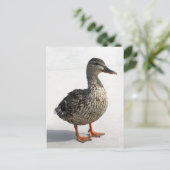 Little Duck Briefkaart (Staand voorkant)
