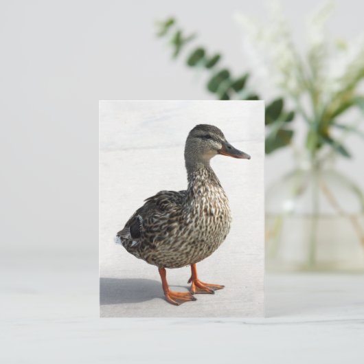 Little Duck Briefkaart (Staand voorkant)