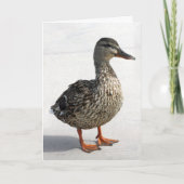 Little Duck Kaart (Voorkant)