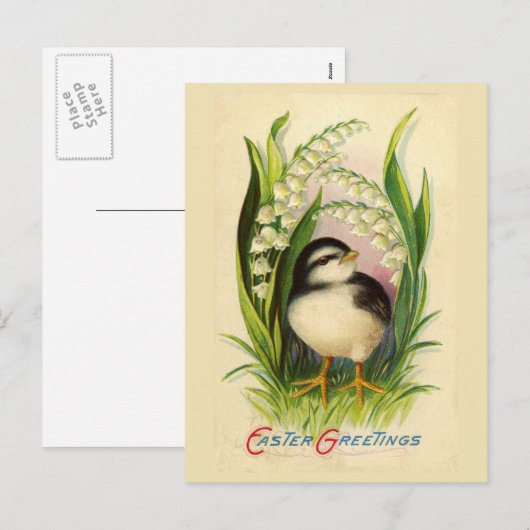 Little Easter Bird  Briefkaart (Voorkant / Achterkant)