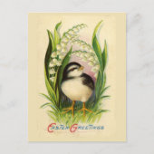 Little Easter Bird  Briefkaart (Voorkant)