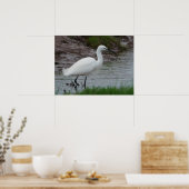 Little Egret Poster (Keuken)