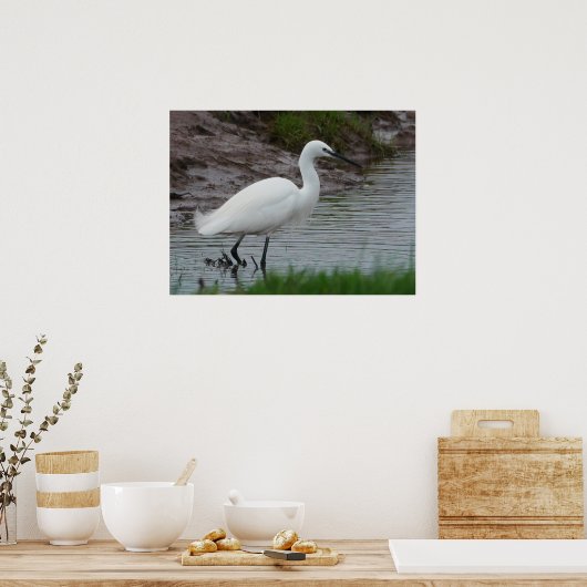 Little Egret Poster (Keuken)