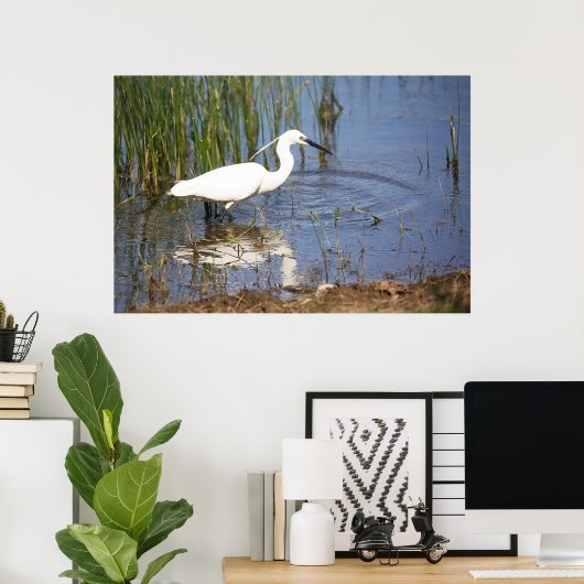 Little Egret Poster (Thuiskantoor)