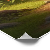 Little Explorer Jungle Adventure Art Poster (Hoek)