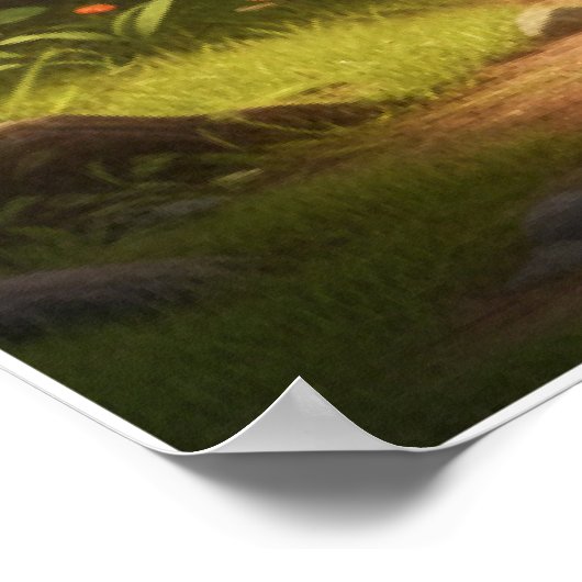 Little Explorer Jungle Adventure Art Poster (Hoek)