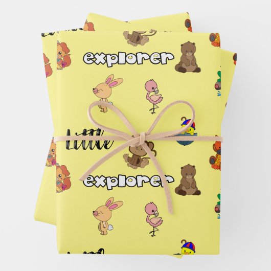 Little Explorer platte blad inpakpapier (In situ)