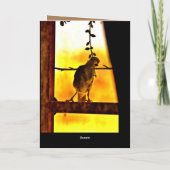 Little Finch Kaart (Achterkant)