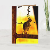 Little Finch Kaart (Voorkant)