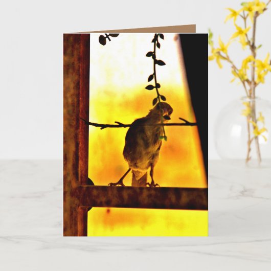 Little Finch Kaart (Gele Bloem)