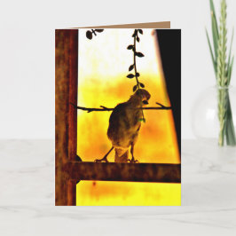 Little Finch Kaart