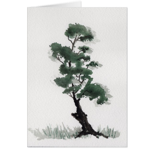 Little Fir Tree (Voorkant)