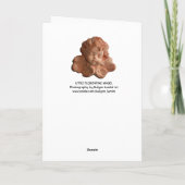 LITTLE FLORENTINE ANGEL FEESTDAGEN KAART (Achterkant)