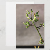 Little Flower Buds Briefpapier (Voorkant / Achterkant)