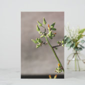 Little Flower Buds Briefpapier (Staand voorkant)