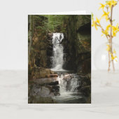 Little Flume-Wenskaart Kaart (Gele Bloem)