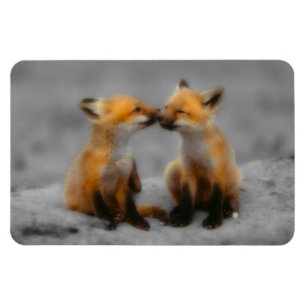 Little Fox Love Magneet