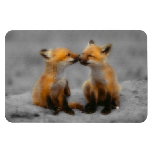 Little Fox Love Magneet (Horizontaal)