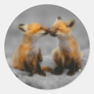 Little Fox Love Ronde Sticker