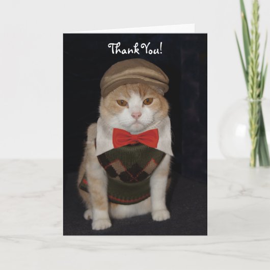 Little Gentleman Cat in Argyle Sweater Dank je Bedankkaart (Voorkant)