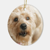 Little Geweldige Abby the Yorkie Poo Keramisch Ornament (Links)