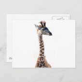"Little Giraffe" Waterverf in het wild levende die Briefkaart (Voorkant / Achterkant)