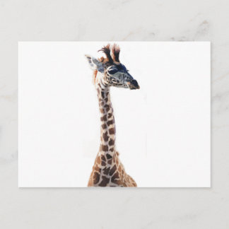 "Little Giraffe" Waterverf in het wild levende die Briefkaart